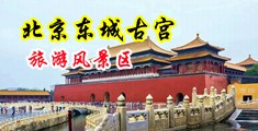 男人操女人逼很爽的视频软件下载中国北京-东城古宫旅游风景区